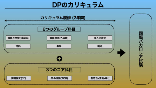 DPのカリキュラム